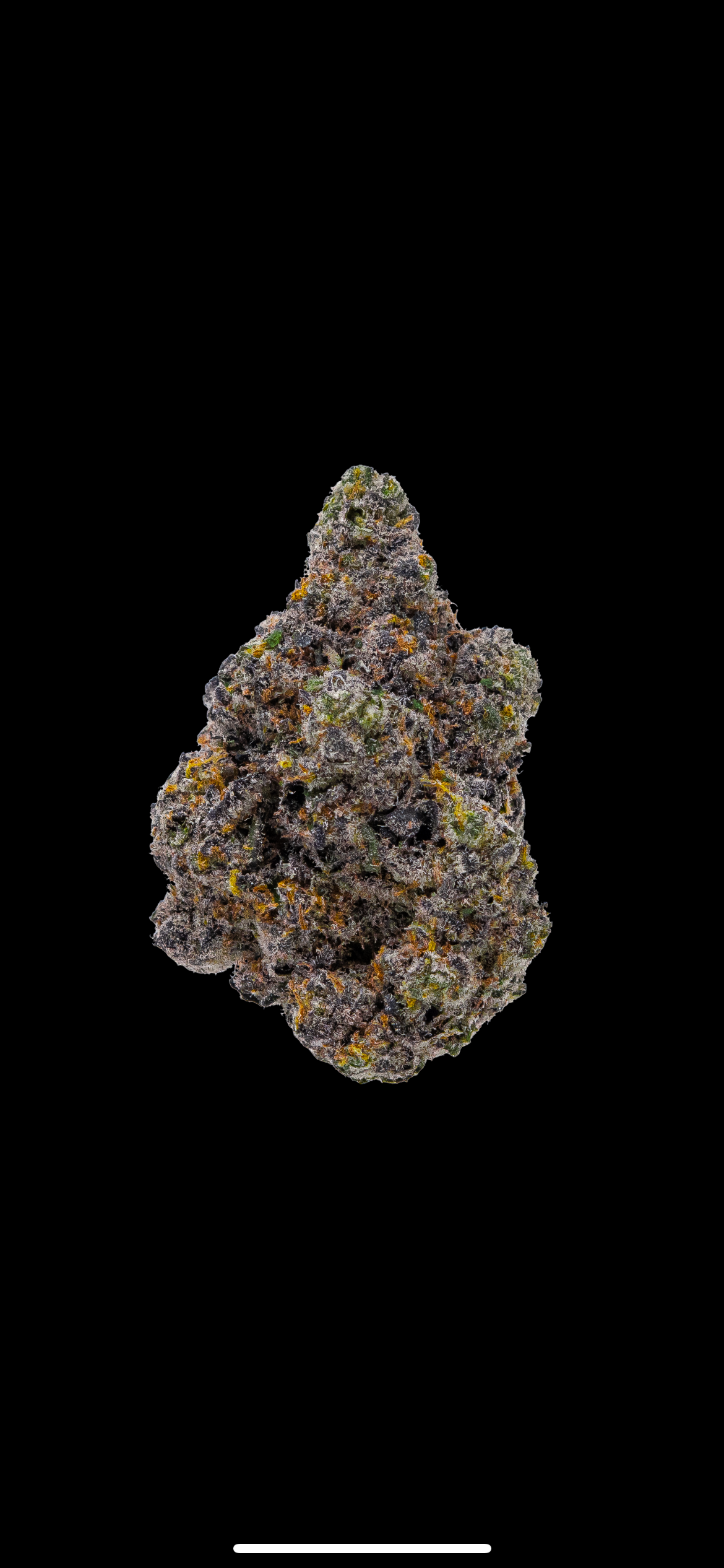 Cherry Fritters THCa Flower