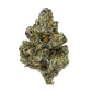 Dosi X Gelato THCa