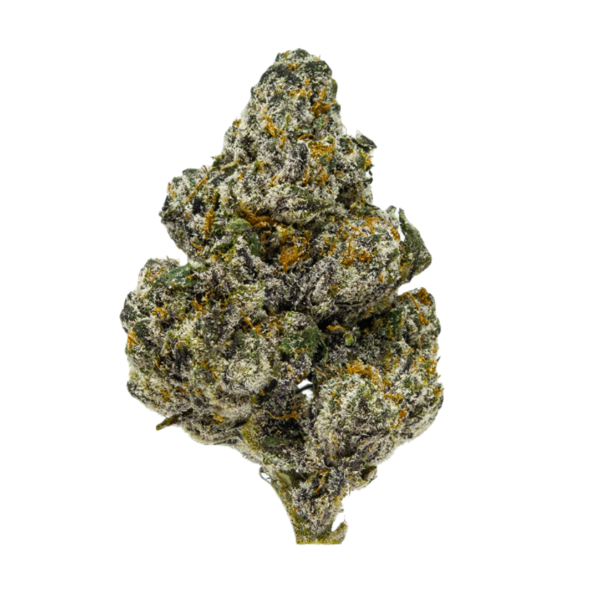 Dosi X Gelato THCa