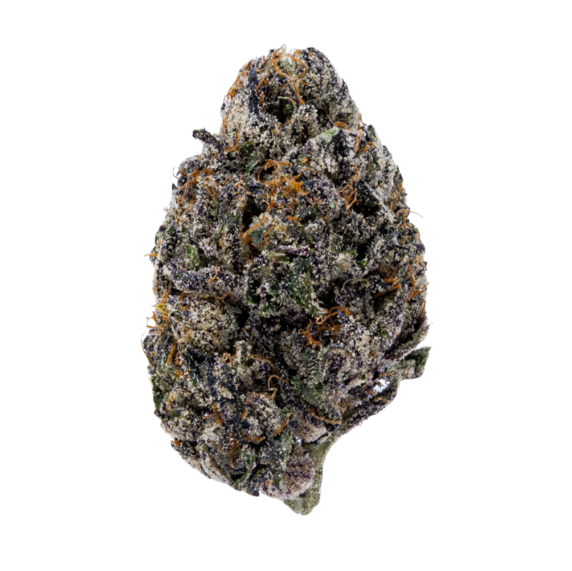 Lantz THCa