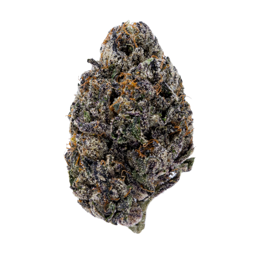 Lantz THCa