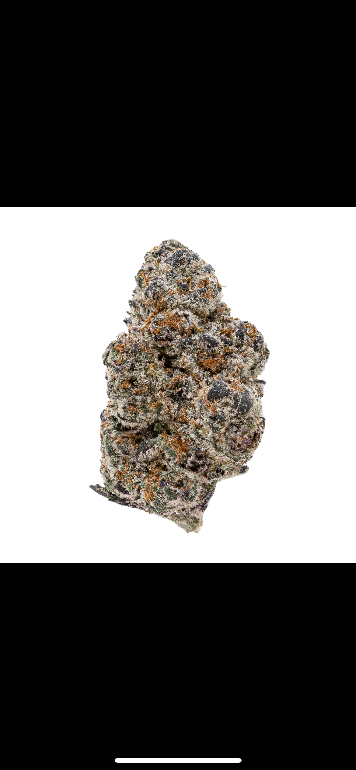 Neon Runtz THCa Flower