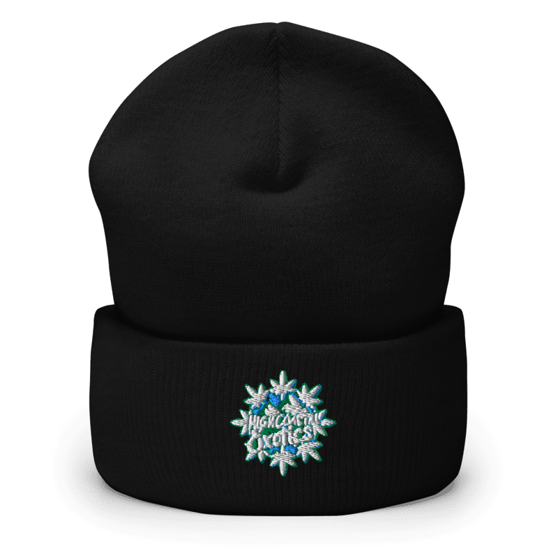 HCE Cuffed Beanie
